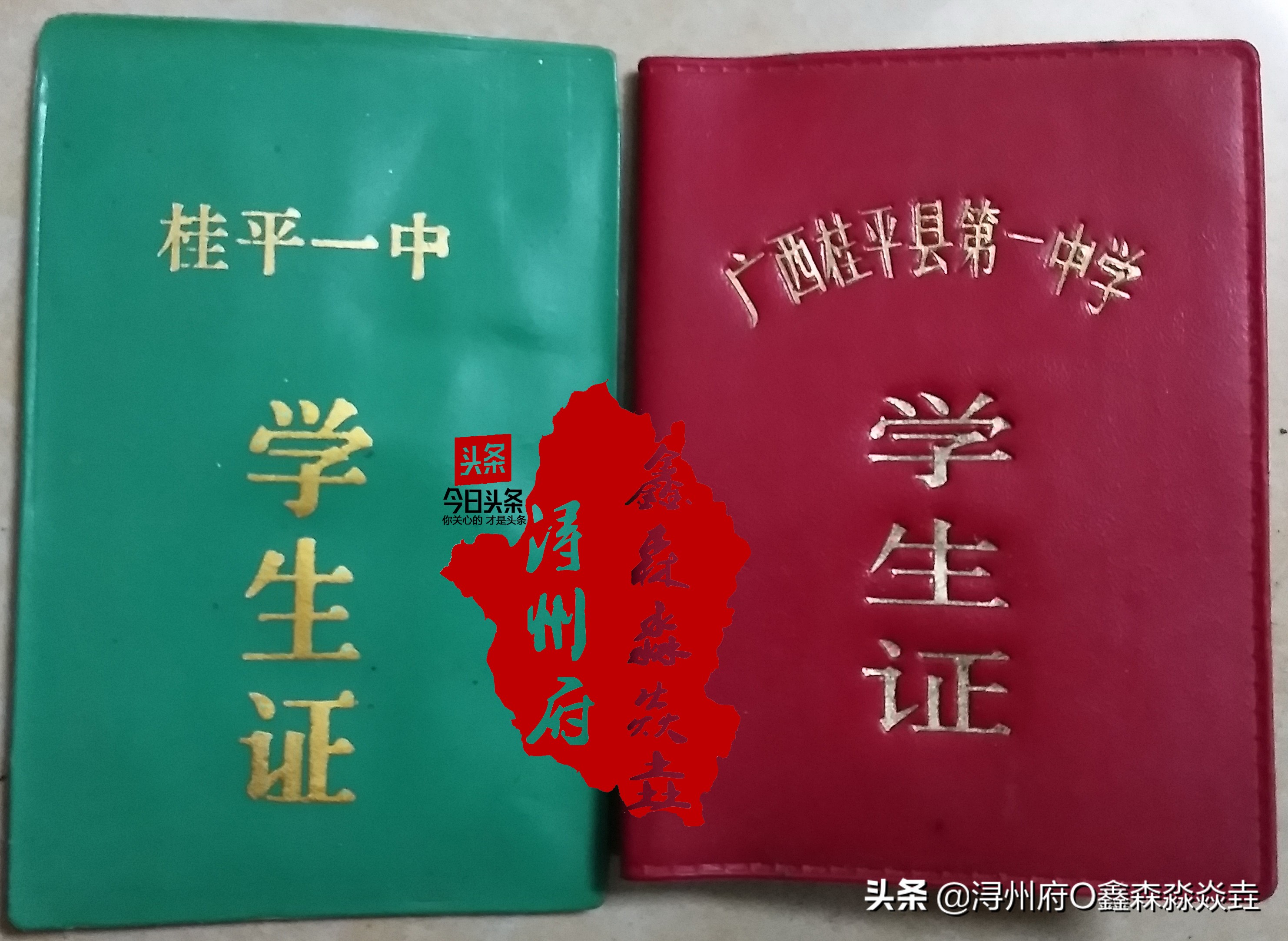 桂平浔州高中校友录,桂平市第一中学知名校友