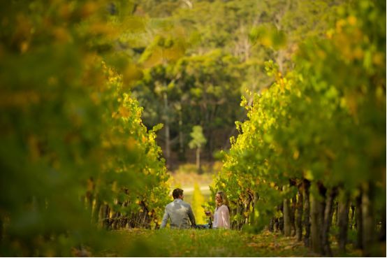 「求真」消费吓退国人的澳大利亚,竟然适合春节旅行?