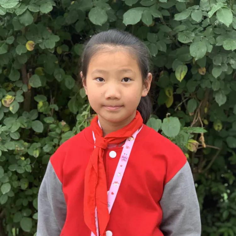 楚雄市新时代好少年评选,2019洛龙区龙富小学