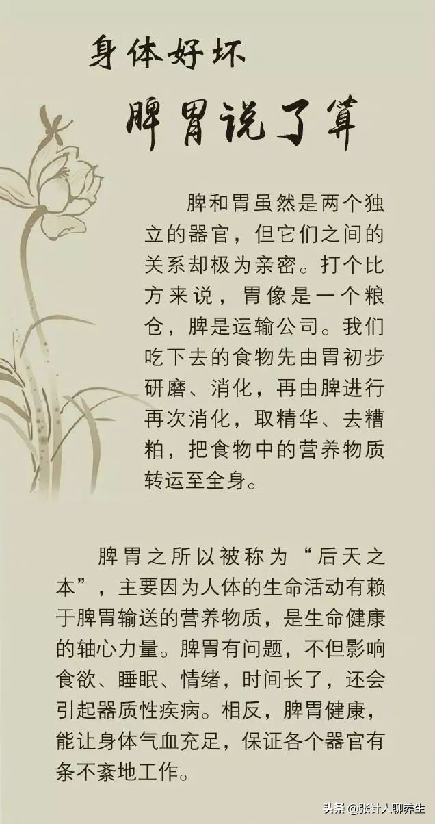 很多人都有脾虚,查询一下脾虚的症状