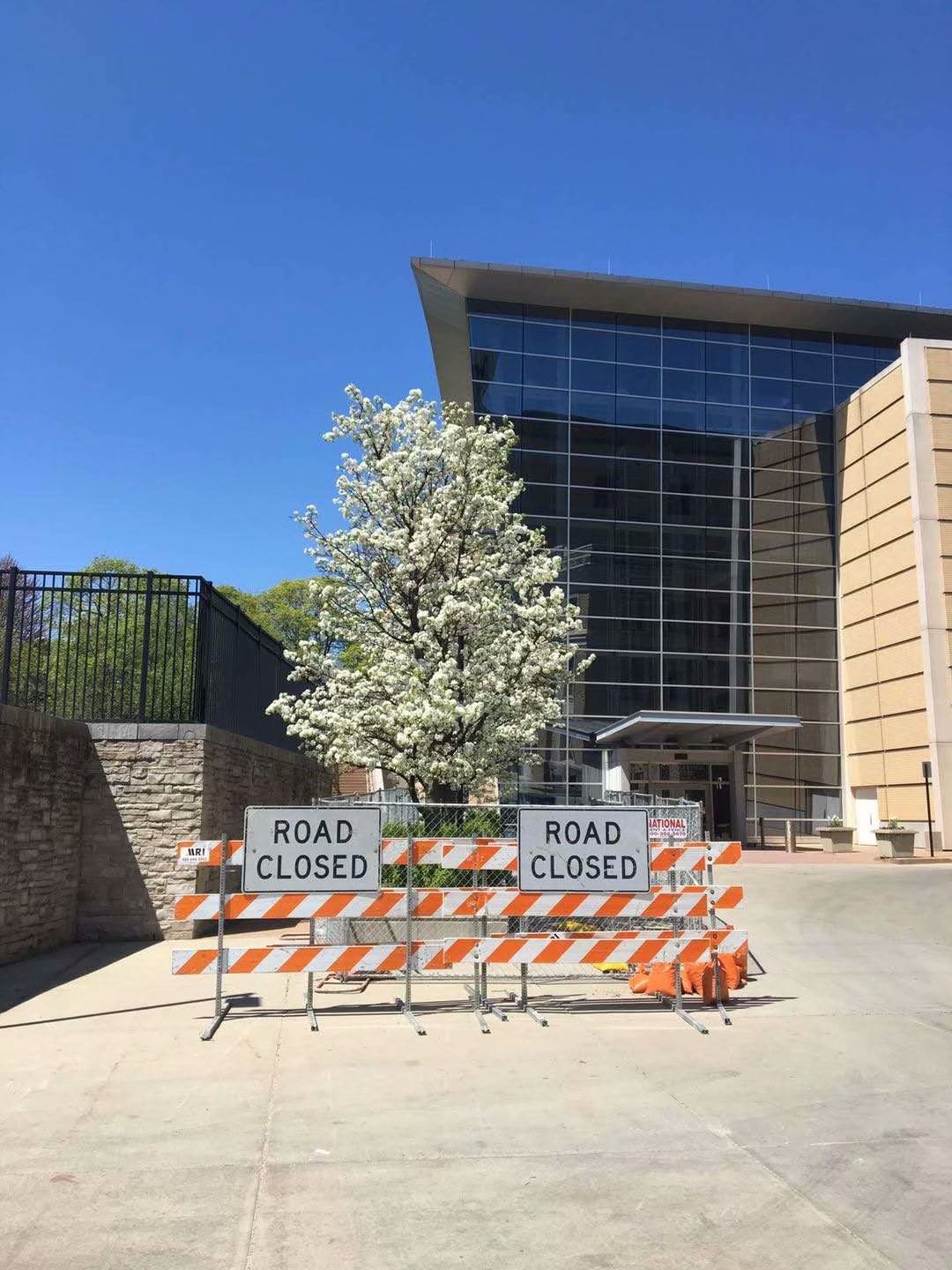 为防止老年痴呆学英语,预防老年痴呆诵读