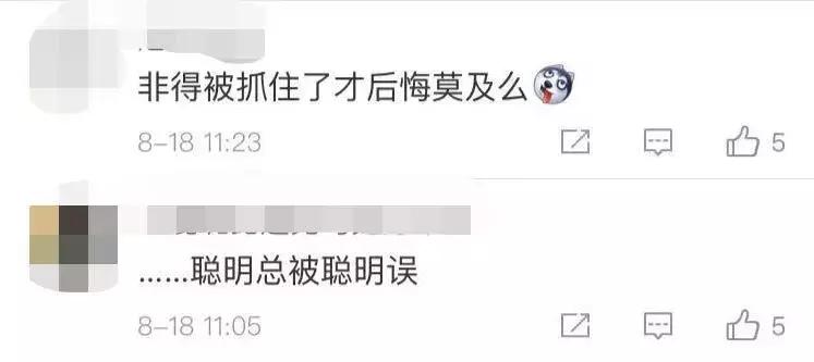 男子一年内恶意逃票480余次被抓,上海硕士生逃票事件基本案情