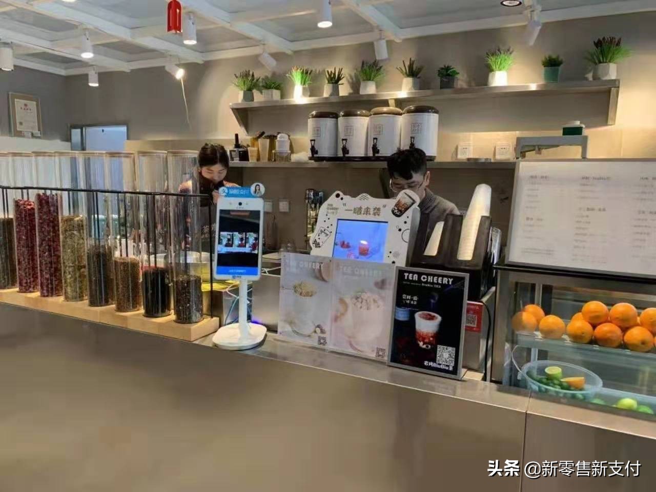 如何代理支付宝蜻蜓支付,支付宝蜻蜓代理怎么样