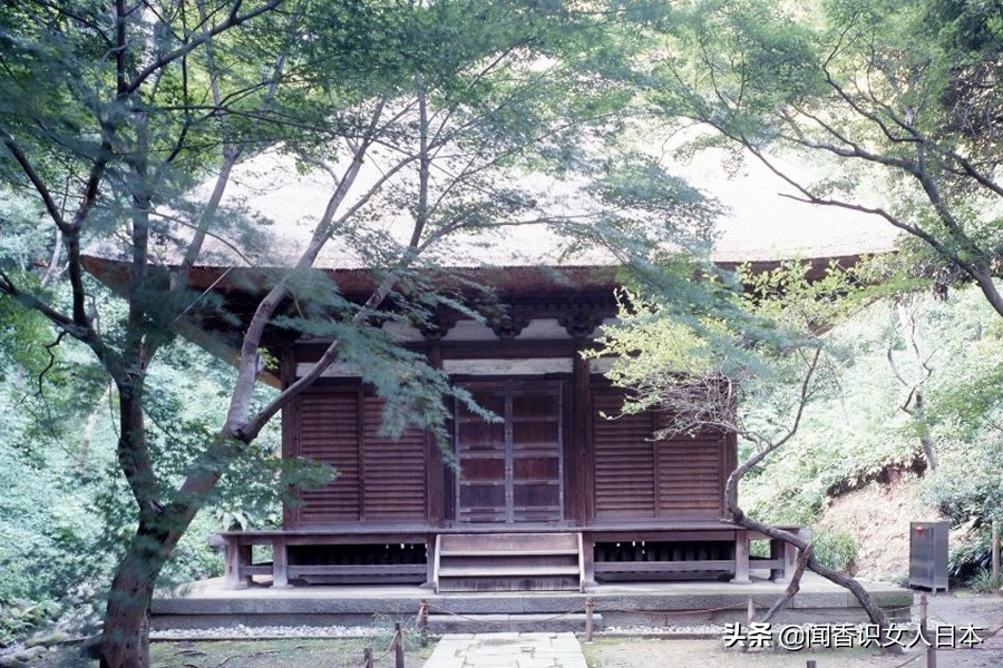 横滨三溪园,横滨三溪园介绍