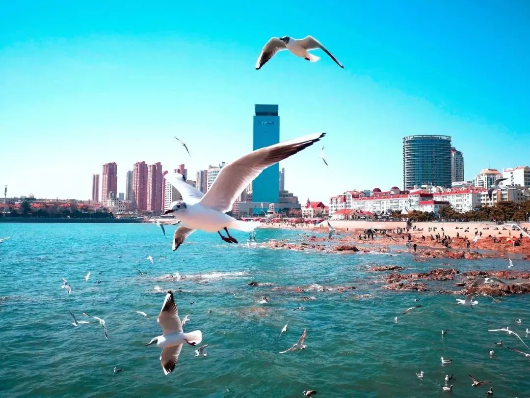 青岛13号线网红景点,青岛最值得去的景点和网红打卡点