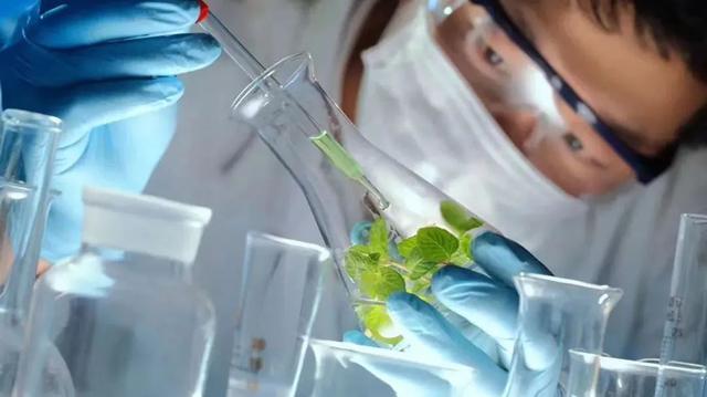 超凉爽的裤子显瘦又百搭,初夏穿搭显瘦中性风裤子