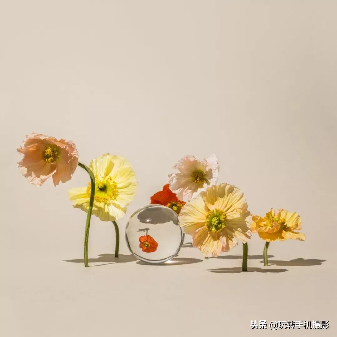 在家拍摄100个创意技巧,在家拍摄100个创意摄影方案