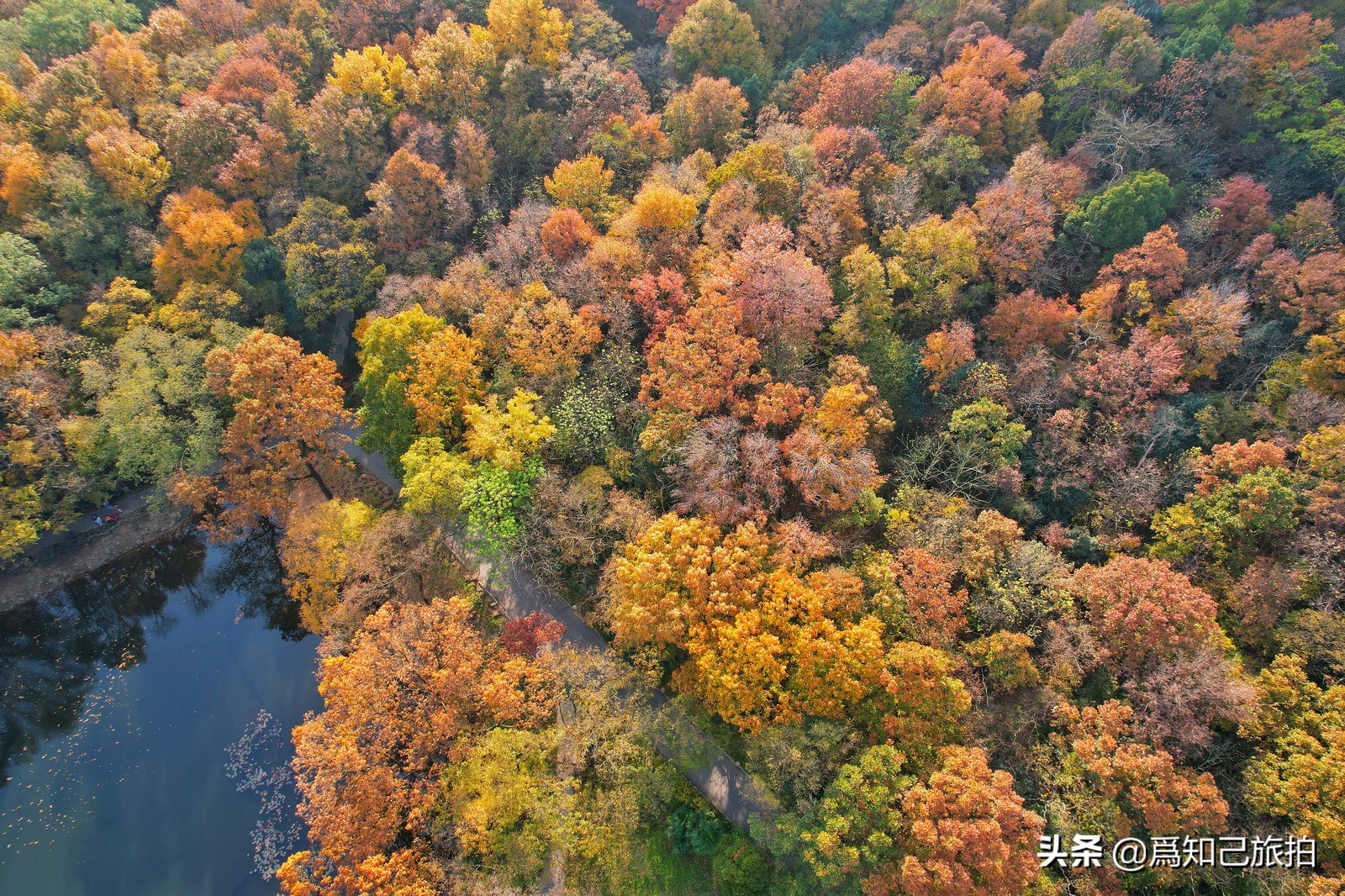 美在金陵文艺大咖秀,美在金陵梁梅