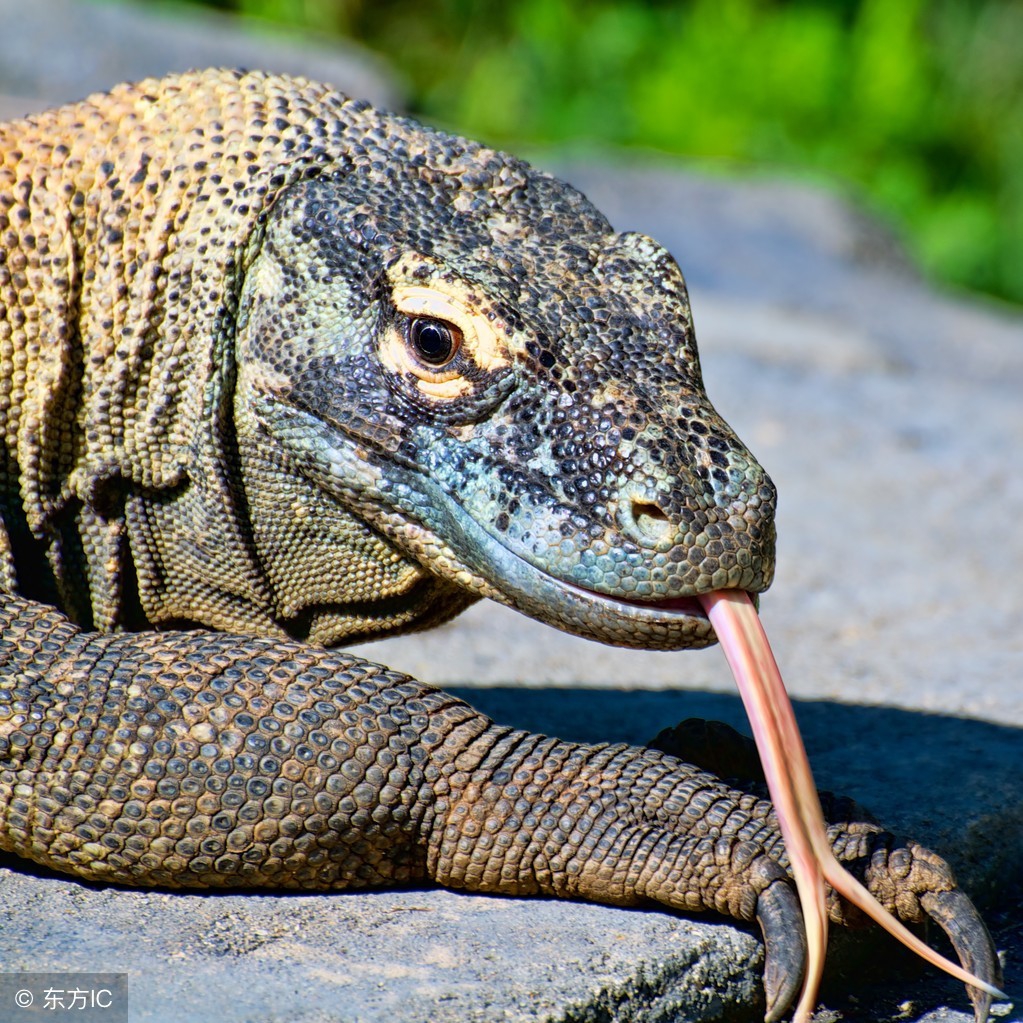 做外贸个人起英文名推荐,外贸人英文名