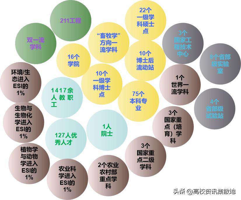 东北农大是211或是985的院校吗,东北农业大学是双一流建设高校么
