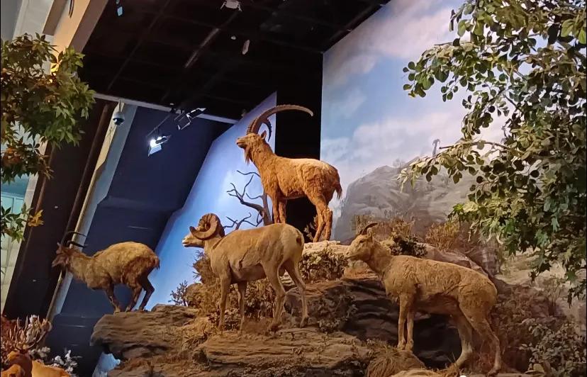 上海科技馆官网,上海科技馆球幕影院