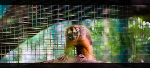 泰旅局发布2019年泰国旅游新玩法,曼谷漫游攻略