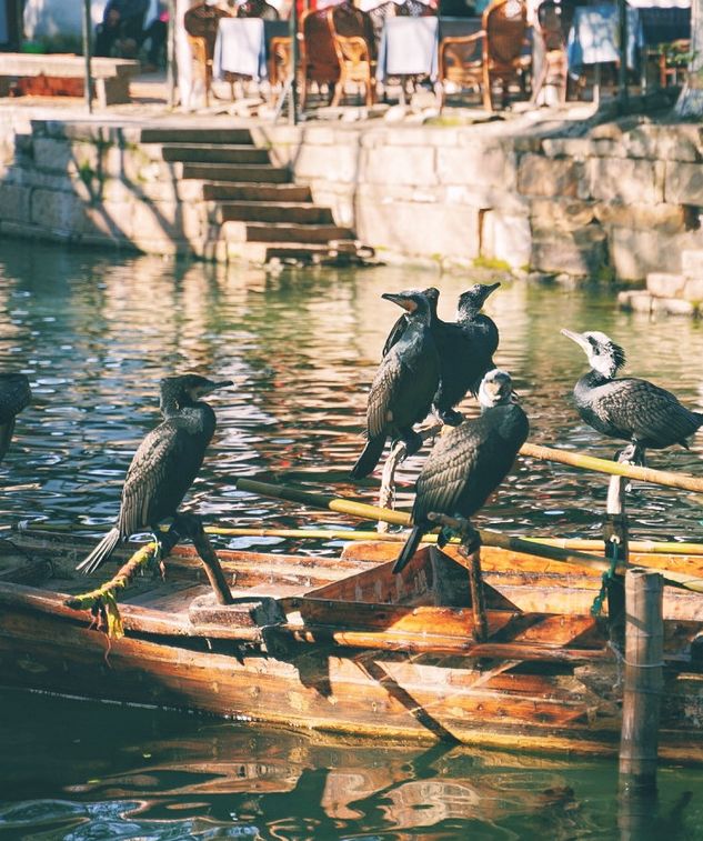 古镇水墨风景,水墨画古镇风景