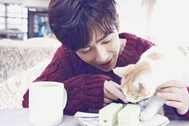 男明星为何喜欢养猫,为什么都说男生不能养猫
