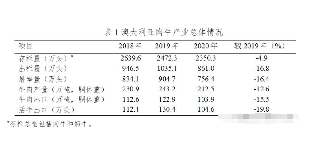 澳洲野兔泛滥成灾上演人兔大战,野兔在澳洲泛滥成灾多久了