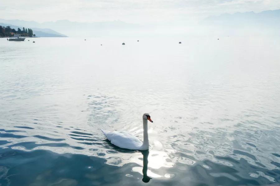 瑞士欧洲之巅旅游攻略,欧洲瑞士自驾游攻略