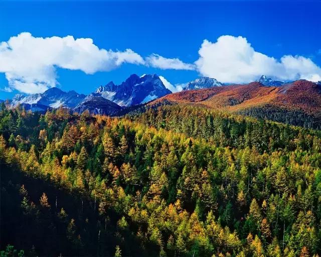 云南最美十大酒店,云南最有品质酒店