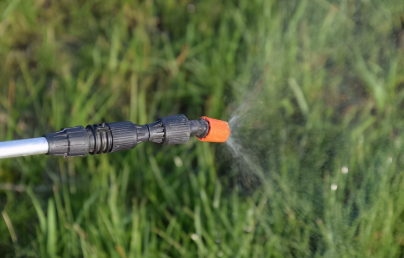 草甘膦还不会用？打后几天可以播种农药？这里一起告诉你