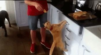 鑷粠鏈変簡鐚不鎰堜簡鎴戠殑鎳掓儼,涓轰粈涔堣姗樼尗鍗佹涔濇福