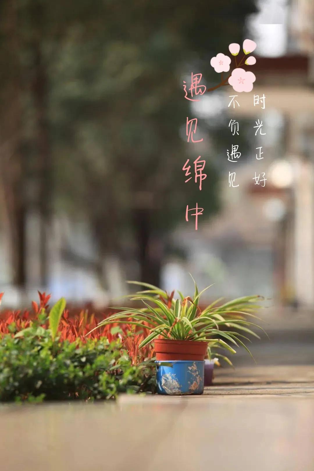 绵阳最牛初中生,绵阳最牛的初中