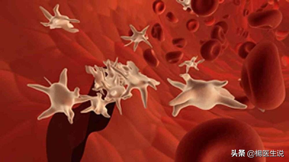 为什么手指划破止不住血,手指划破为什么止不住血