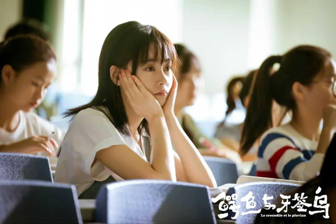 共生的“鳄鱼与牙签鸟”,隐喻95后情感观,藏着生态叙事的新门道