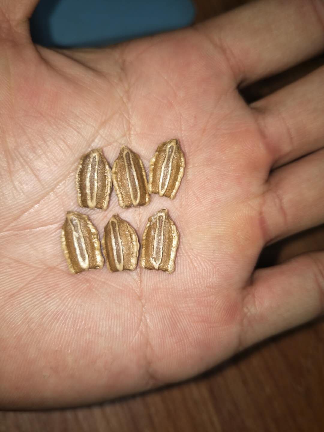 葫芦种植经济效益,种植葫芦的利润和模式