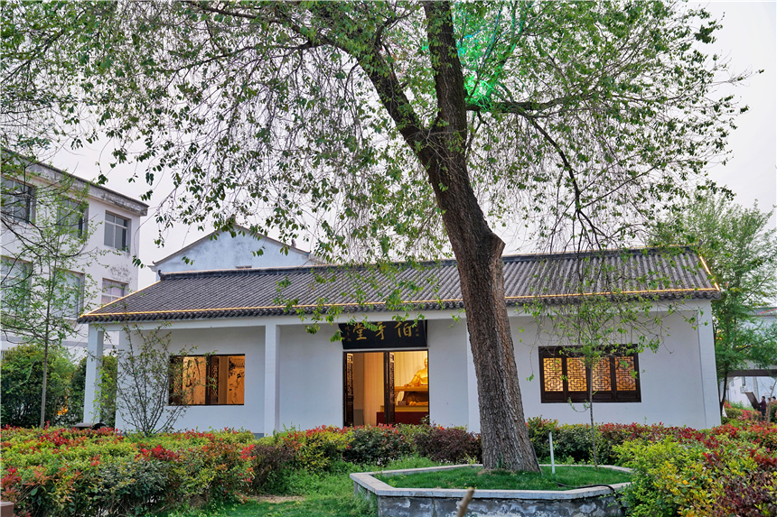 我和宿州有个约会，一场花事，一次慢旅行，探寻最烟火的宿州味道