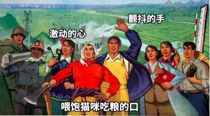 祺鑫养猫实录,穷人养猫实录