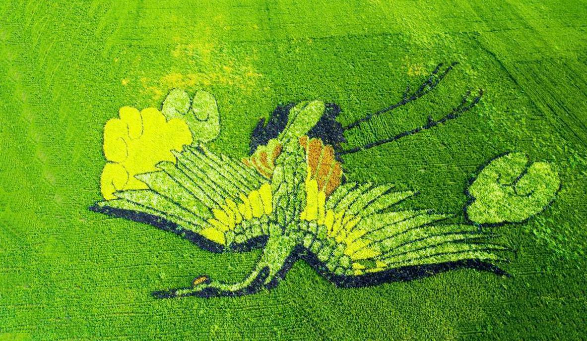 盘锦红海滩五月去好吗,五一盘锦红海滩