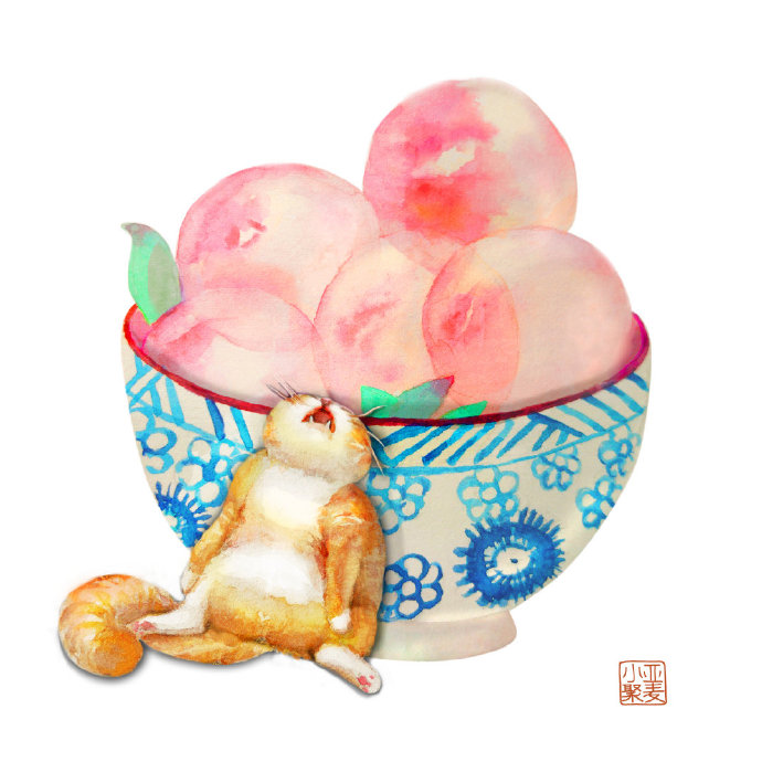 关于猫咪的冷知识大全,猫咪的冷知识你知道哪些