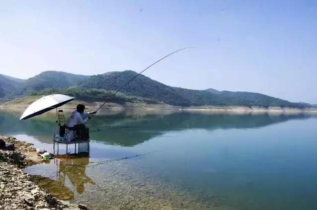 钓竿怎么选购合适,怎么购买合适的钓竿