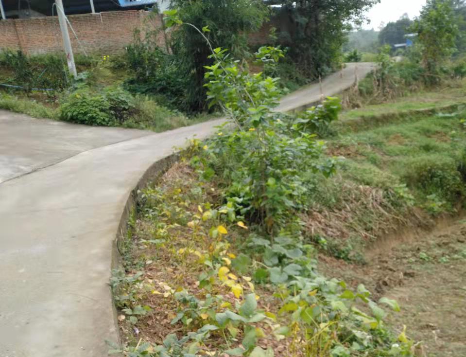 工程内业如何上手,工程内业是谁来做