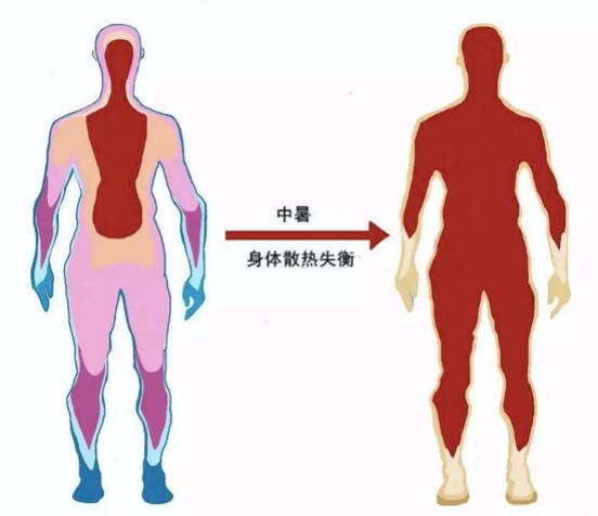 夏天跑步如何防中暑,夏天跑步如何避免湿气加重