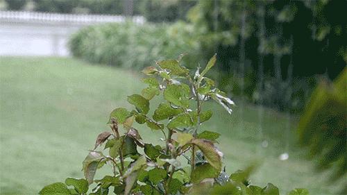 柳宗元表达自己不甘的诗句,柳宗元表达豪情壮志的诗