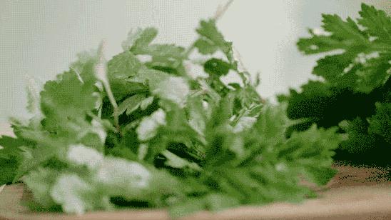 夏天吃这种味道的食物胜过补药,推荐10种宜于春季食用的食物