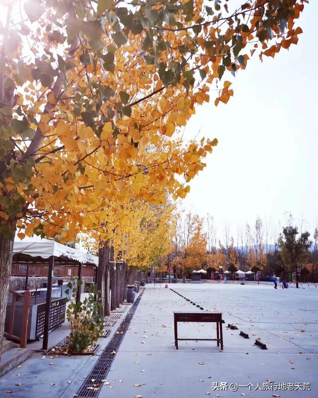 西北第一条高铁,苦等11年