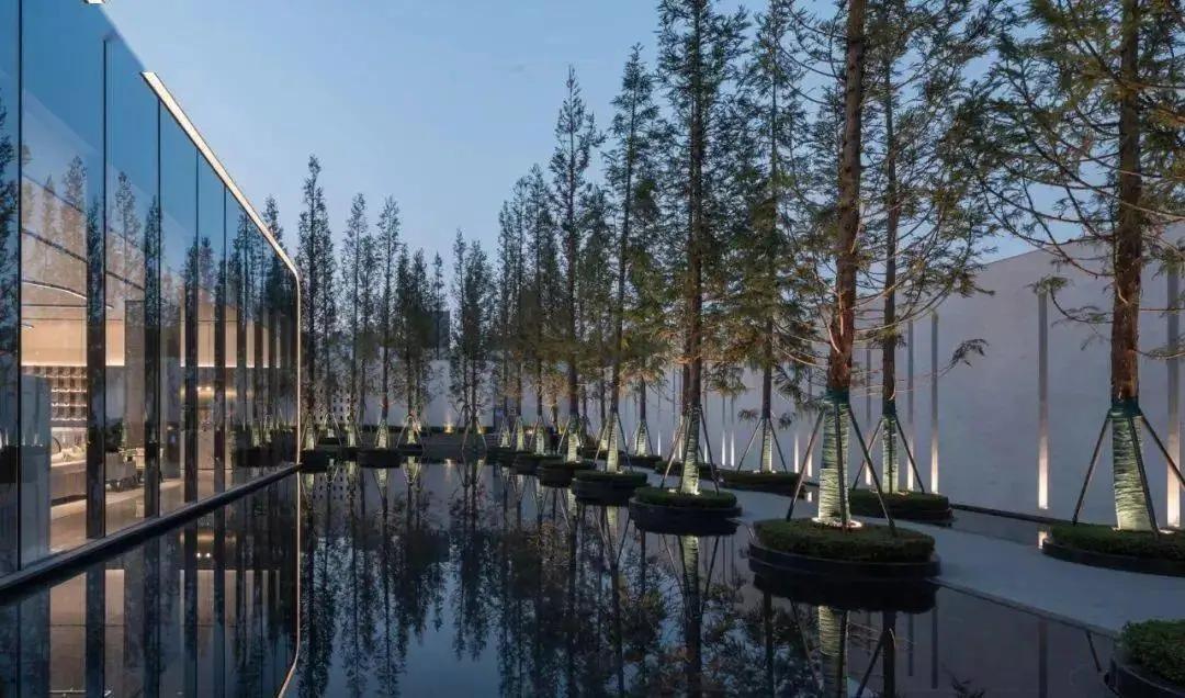 重庆又添新景点,重庆新的网红公园