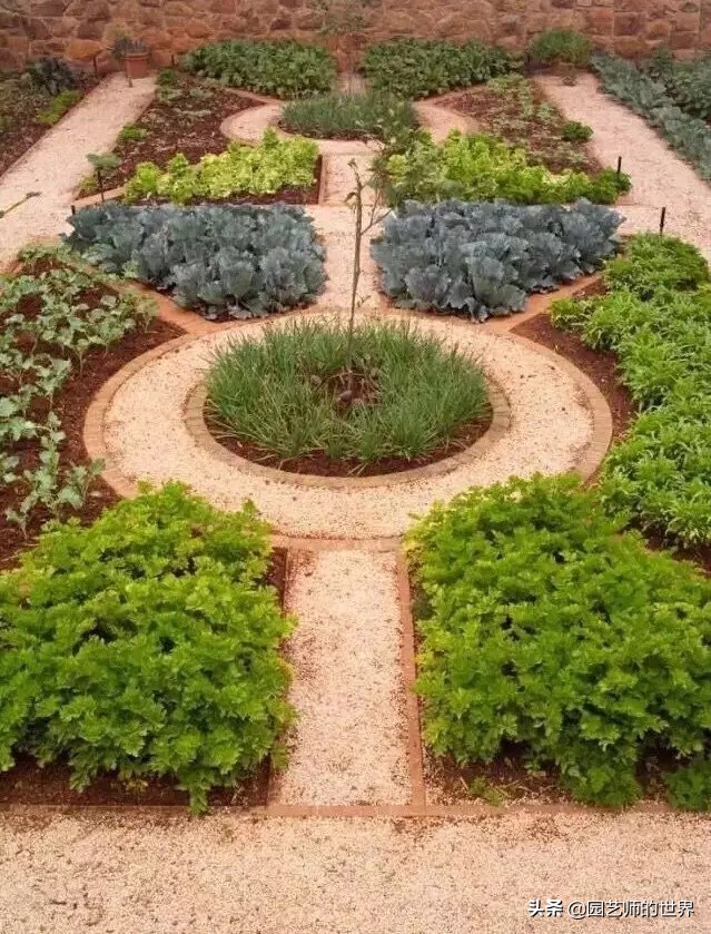 城市蔬菜园景观设计,蔬菜花园造型