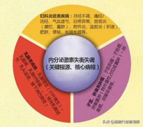 五个技巧内分泌回到正轨,掌握4个健康饮食原则