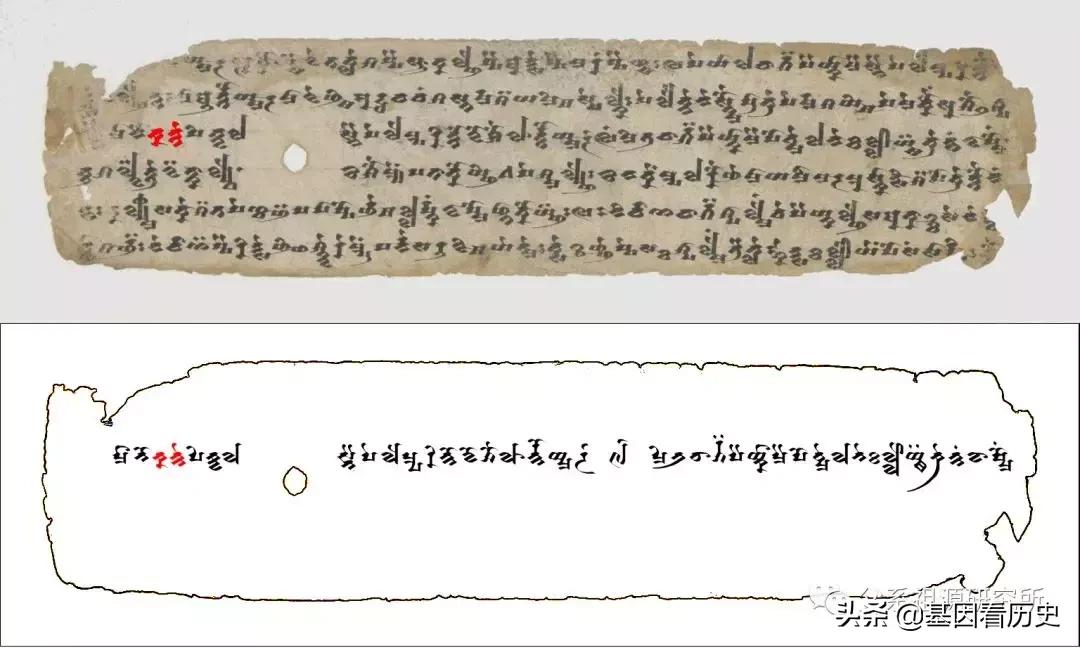 父系R1a人群系列——包括中国的楼兰人