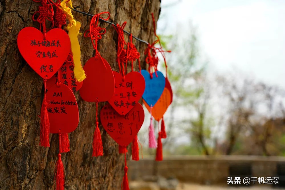 阳春四月春意盎然,阳春四月艳阳照