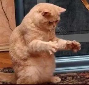 脸大女生如何显得脸小,女生大小脸怎么改善