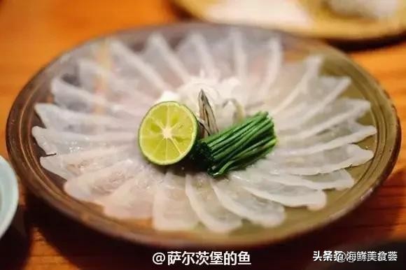 32种经典寿司做法视频,寿司常用的鱼