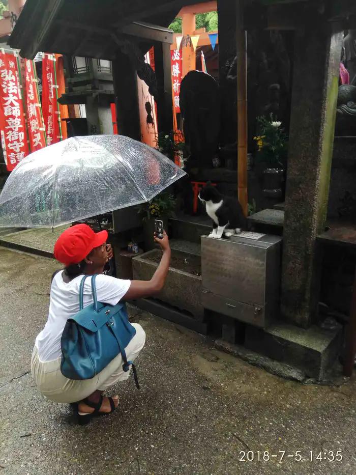 日本东京塔游记,东京名古屋游记