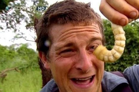 一个月的小猫可以吃羊奶泡奶糕吗,两个月小奶猫吃什么零食