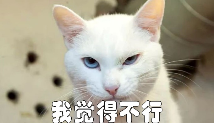 缁欑尗鍜悆绯栧樊鐐硅鍙戠幇,缁欑尗鍜悆楗鍚撳埌