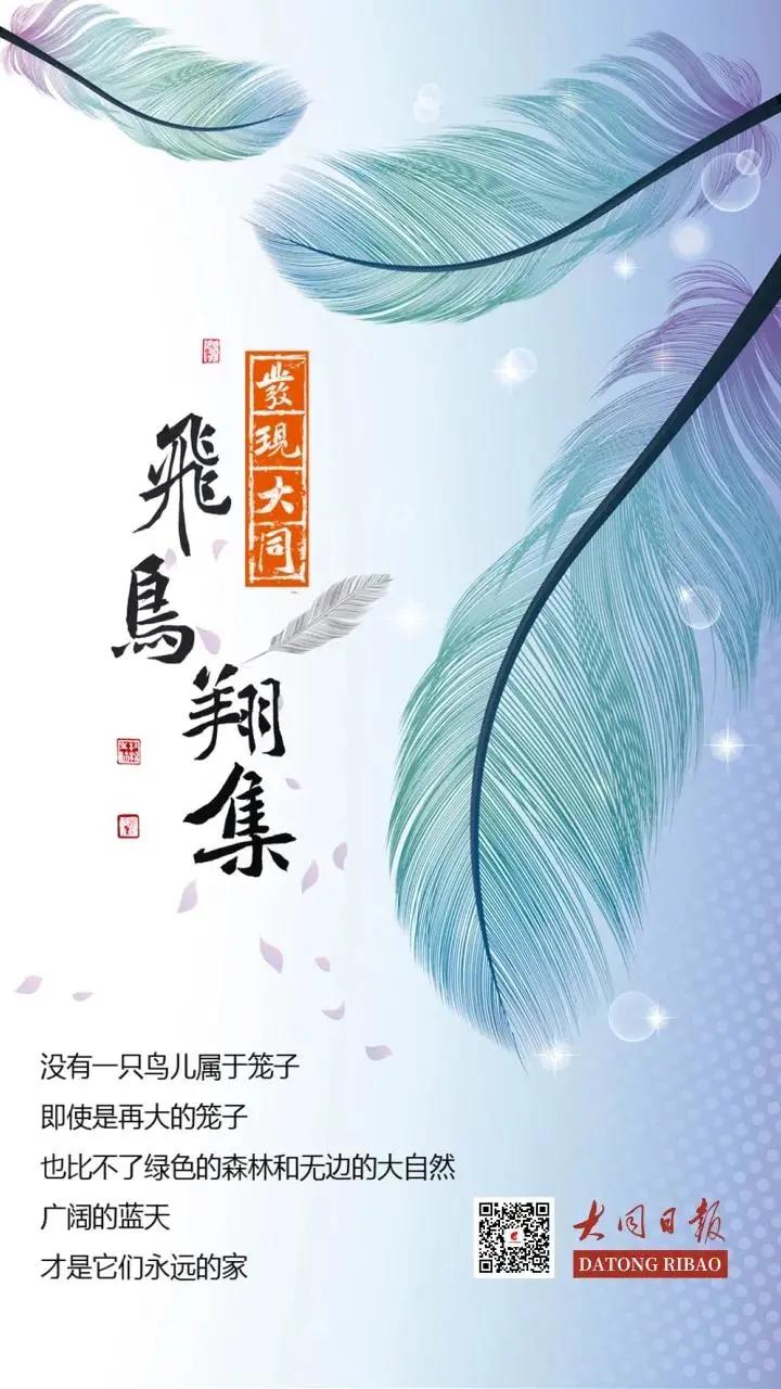涂上黄色的“润唇膏”,TA就是野鸭中最靓的仔