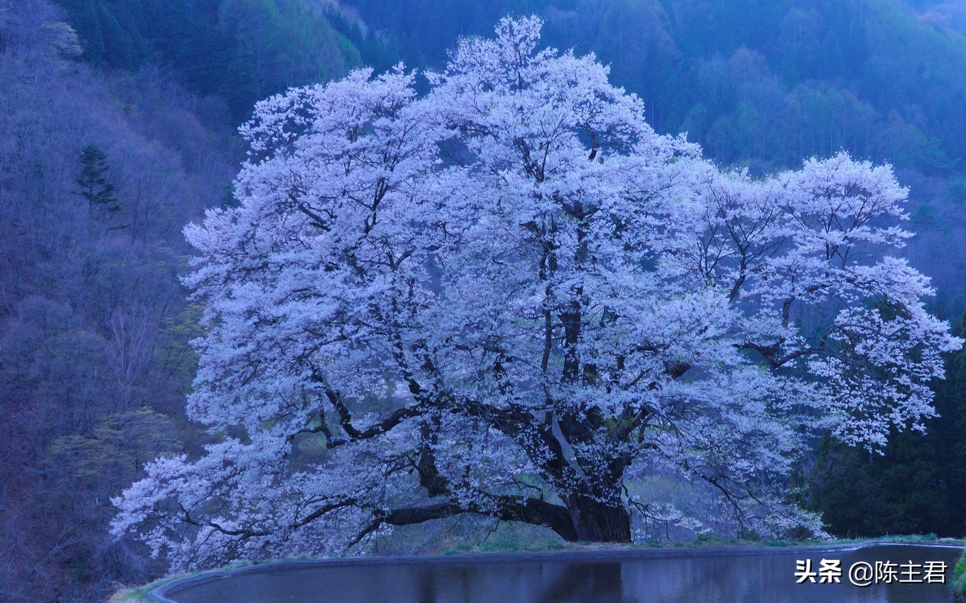 超美的风景壁纸,世界顶级绝美风景手机壁纸