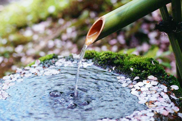 孟浩然过故人庄千古名句是,孟浩然与老友重逢的诗句